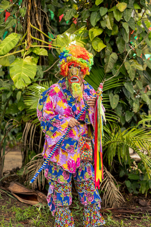 Pessoa em traje folclórico vibrante com máscara, peruca colorida e cajado com fitas, em meio a folhagens verdes