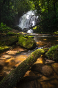 Cachoeira em floresta densa com pedras cobertas de musgo e um riacho em primeiro plano