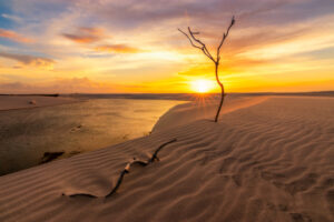 Pôr do sol sobre dunas de areia e uma lagoa, com galhos secos em destaque no primeiro plano