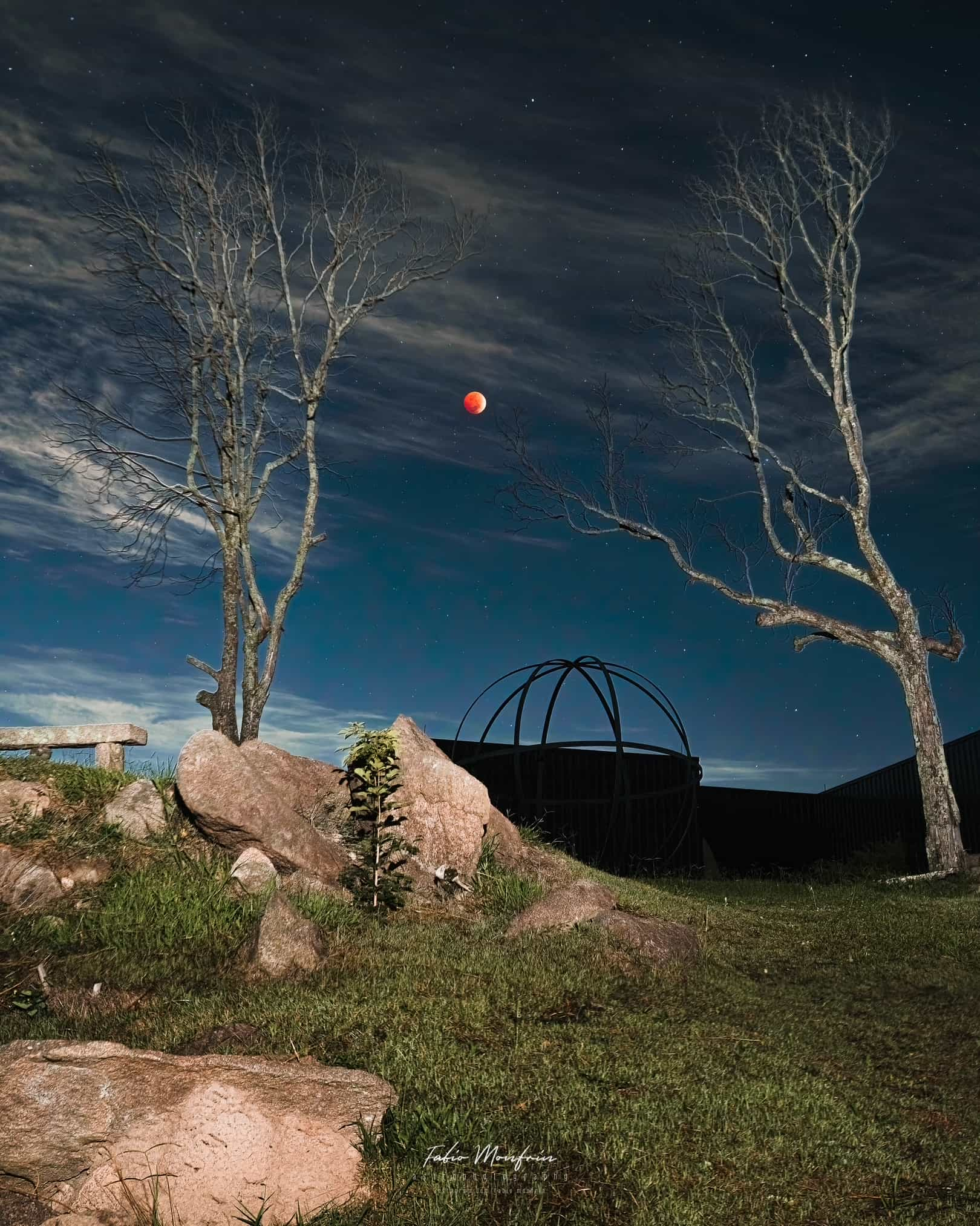 Paisagem noturna com árvores em silhueta e a Lua eclipsada ao fundo